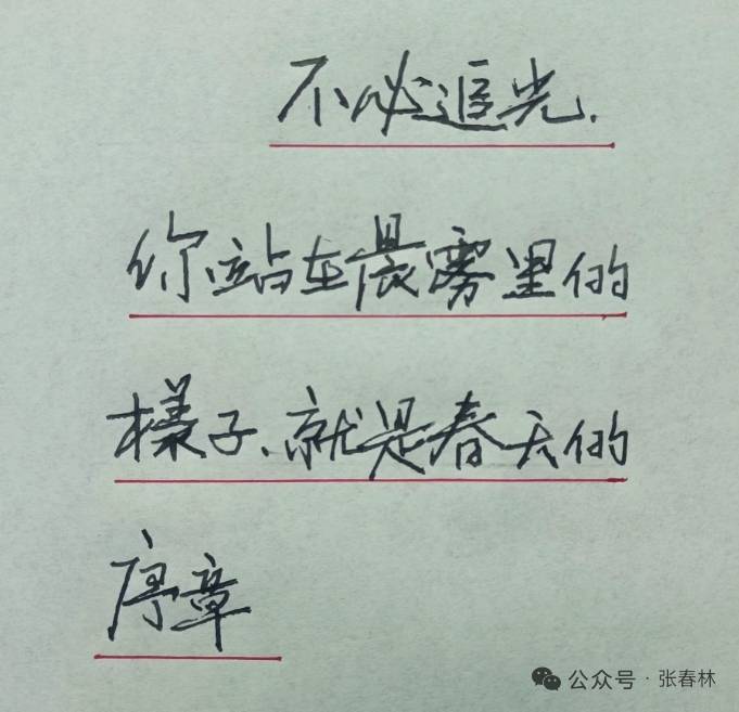 不必追光，你站在晨雾里的样子就是春天的序章-云商金桥科技官网